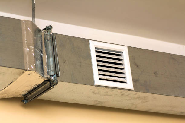 Best Duct Cleaning for Homes  in Lamesa, TX